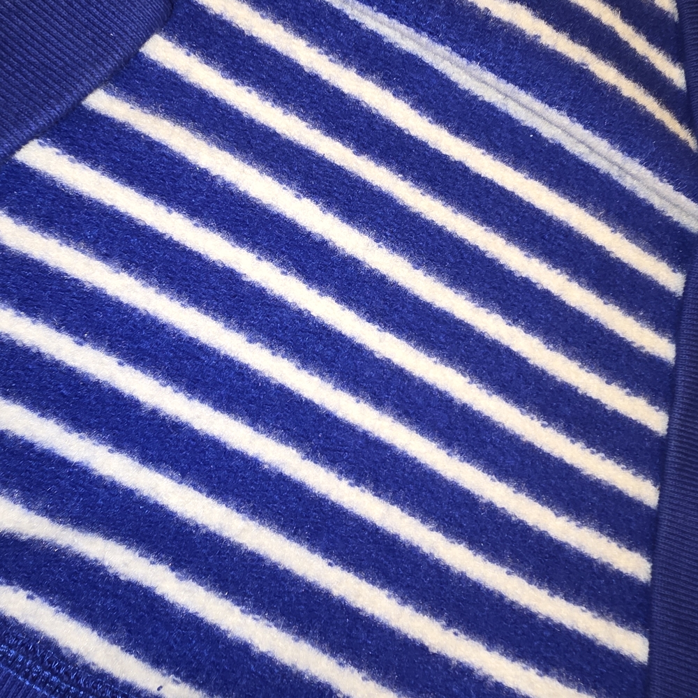Polo by Ralph Lauren Blue and White Striped Top - Picture 5 of 5